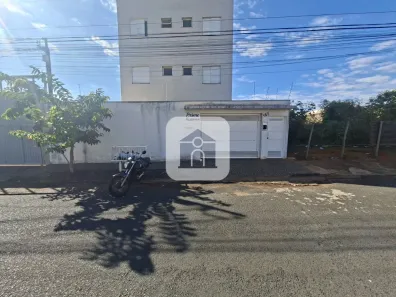Apartamento com 2 Quartos para alugar, 46m² no Segismundo Pereira, Uberlândia