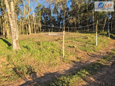 Lote/Terreno à venda, 161m² no Cidade Industrial, Curitiba