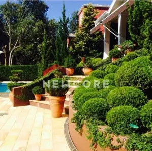 Casa de Condomínio com 4 Quartos à venda, 300m² no Pinhal, Cabreúva