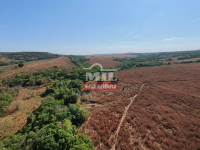 Fazenda/Sítio à venda, 1m² no , Ipameri