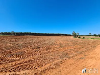 Fazenda/Sítio com 5 Quartos à venda, 1000m² no Marília, Marília