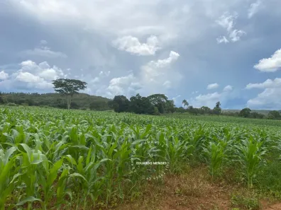 Fazenda/Sítio com 4 Quartos à venda, 968000m² no , Pirenópolis