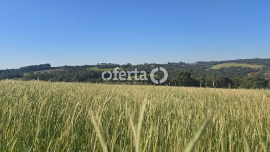 Fazenda/Sítio à venda, 229900m² no , Lapa