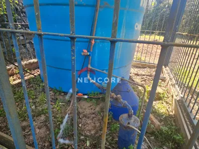 Fazenda/Sítio com 1 Quarto à venda, 20000m² no , Caxias do Sul