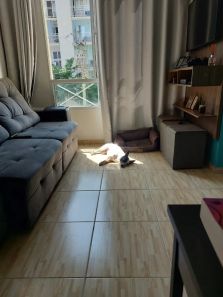 Apartamento com 2 Quartos à venda, 47m² no Vila São Francisco, Hortolândia