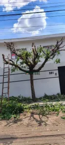 Casa com 4 Quartos à venda, 252m² no Jardim Londrilar, Londrina