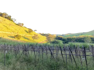 Fazenda/Sítio com 1 Quarto à venda, 145000m² no , São Luiz do Paraitinga