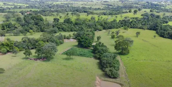 Fazenda/Sítio com 3 Quartos à venda, 3m² no , Sanclerlândia