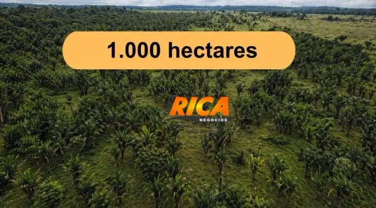 Fazenda/Sítio à venda, 10000000m² no Área Rural de Porto Velho, Porto Velho