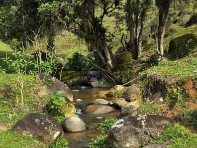 Fazenda/Sítio à venda, 40000m² no , Águas Mornas