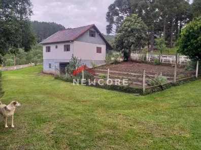 Fazenda/Sítio com 2 Quartos à venda, 20000m² no Vila Seca, Caxias do Sul