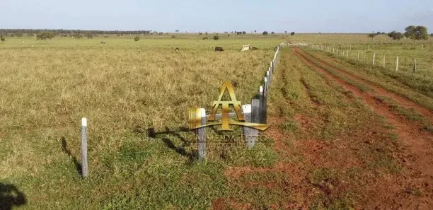 Fazenda/Sítio com 1 Quarto à venda, 100m² no Centro, Campo Grande