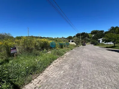 Lote/Terreno à venda, 319m² no São Caetano, Caxias do Sul