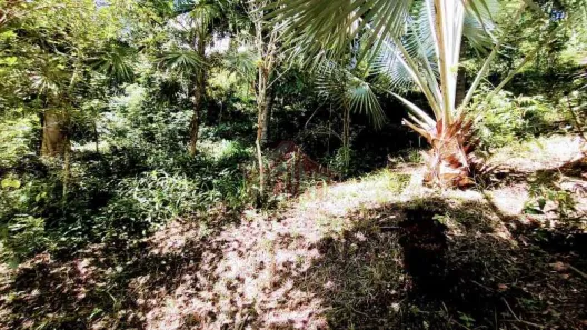 Lote/Terreno à venda, 1004m² no Vila Progresso, Niterói