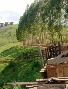 Fazenda/Sítio com 2 Quartos à venda, 290000m² no , Liberdade