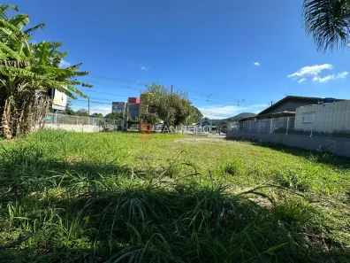 Lote/Terreno para alugar, 664m² no Costeira do Pirajubaé, Florianópolis
