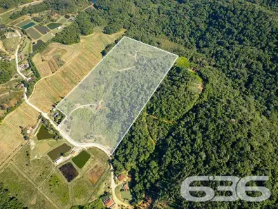 Fazenda/Sítio com 3 Quartos à venda, 140m² no Sai, São Francisco do Sul