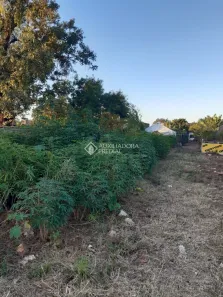 Lote/Terreno à venda, 2702m² no Rio Branco, Canoas