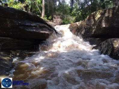 Lote/Terreno à venda, 1m² no Setor Central, Morro Agudo de Goiás
