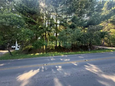 Lote/Terreno à venda, 23613m² no Século XX, Caxias do Sul