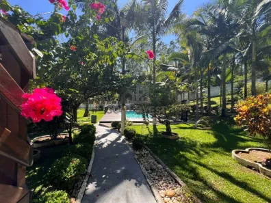 Fazenda/Sítio com 3 Quartos à venda, 250m² no Moura, Canelinha