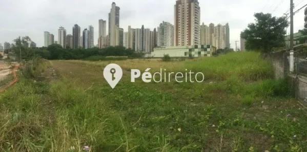 Lote/Terreno para alugar, 19069m² no Jardim Anália Franco, São Paulo