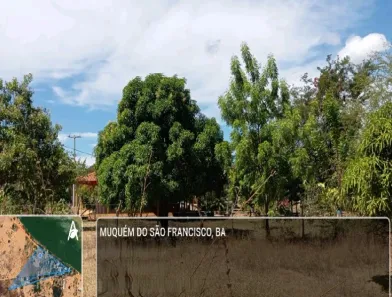 Fazenda/Sítio com 1 Quarto à venda, 40000m² no , Muquém de São Francisco