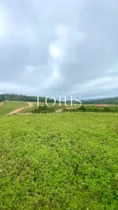 Lote/Terreno à venda, 500m² no Centro, Cotia