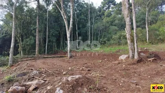 Lote/Terreno à venda, 365m² no Dos Boêmios, Nova Petrópolis