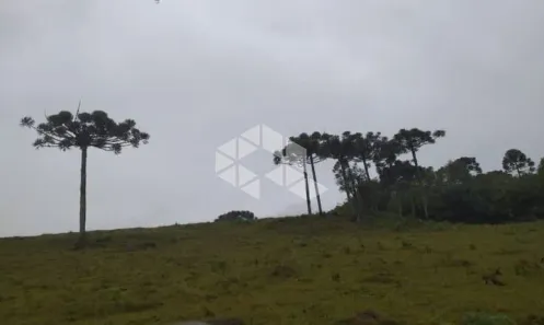 Fazenda/Sítio à venda, 220236m² no Criúva, Caxias do Sul