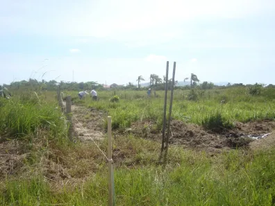 Lote/Terreno à venda, 360m² no , Iguape