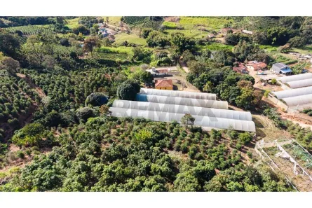 Fazenda/Sítio com 4 Quartos à venda, 110m² no Centro, Serra Negra