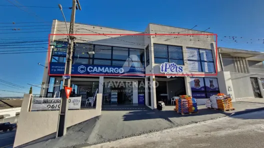 Consultório para alugar, 225m² no Nova Rússia, Ponta Grossa