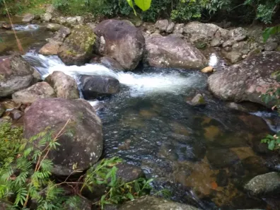 Lote/Terreno à venda, 4000m² no , Cachoeiras de Macacu