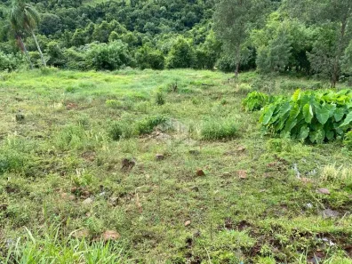 Fazenda/Sítio à venda, 30000m² no , Nova Petrópolis