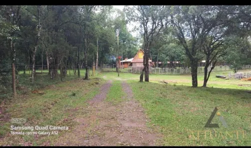 Lote/Terreno à venda, 20000m² no Ana Rech, Caxias do Sul