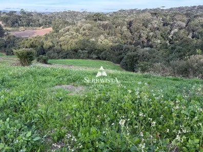 Fazenda/Sítio com 1 Quarto à venda, 20000m² no Bateias de Baixo, Campo Alegre