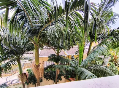 Apartamento com 3 Quartos à venda, 66m² no Jardim Dom Vieira, Campinas