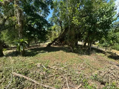Lote/Terreno à venda, 343m² no Vila Santana, Santo Amaro da Imperatriz