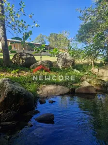 Fazenda/Sítio com 3 Quartos à venda, 148m² no Ribeirão de Imaruí, Imaruí