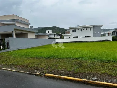Lote/Terreno à venda, 468m² no Santa Regina, Camboriú