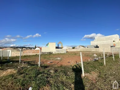 Lote/Terreno à venda, 730m² no Pineville, Pinhais