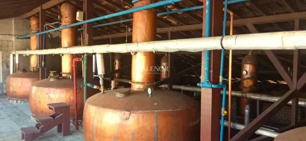Fazenda/Sítio com 6 Quartos à venda, 10m² no Moeda, Moeda