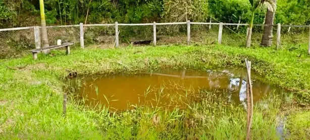 Lote/Terreno à venda, 1300m² no , Delfim Moreira
