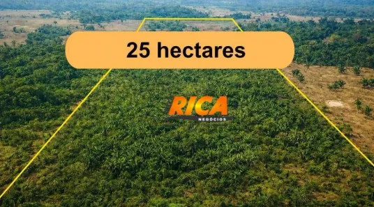 Fazenda/Sítio à venda, 250000m² no Aponiã, Porto Velho