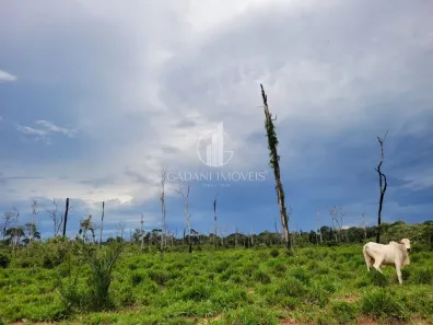Fazenda/Sítio com 2 Quartos à venda, 60m² no , Cláudia