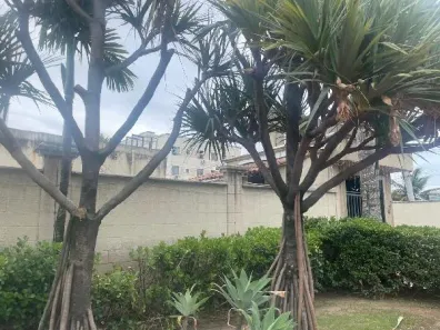 Apartamento com 2 Quartos à venda, 46m² no Anchieta, Rio de Janeiro
