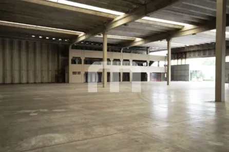 Galpão/Depósito/Armazém para alugar, 2599m² no Parque Novo Mundo, São Paulo