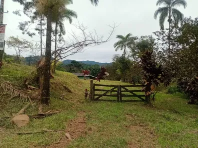Fazenda/Sítio com 3 Quartos à venda, 338000m² no Potinga, Guaraqueçaba