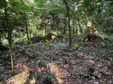 Lote/Terreno à venda, 3600m² no Toque-Toque Grande, São Sebastião